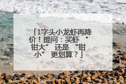 1字头小龙虾再降价！提问：买虾 “钳大” 还是 “钳小” 更划算？